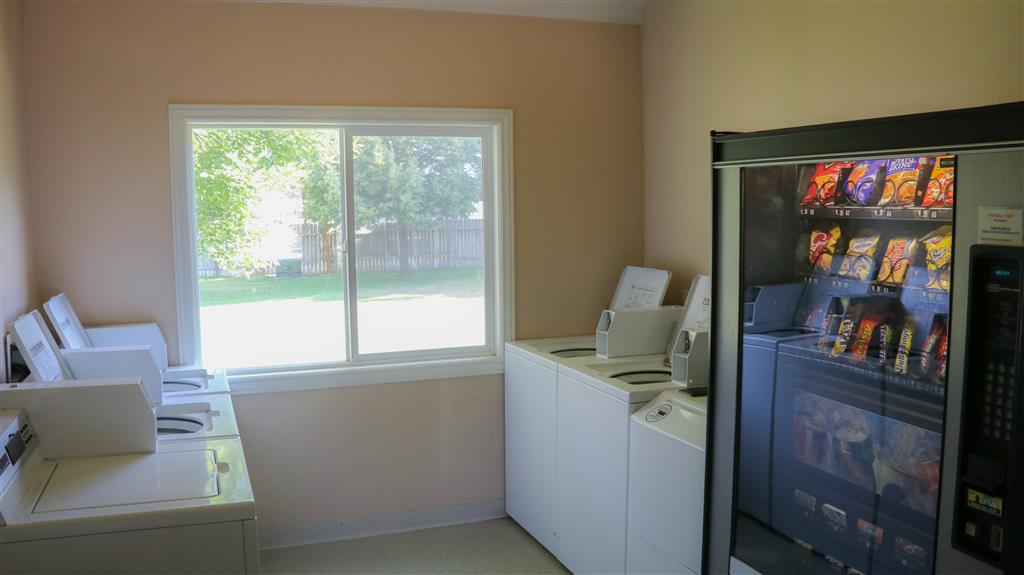 Gallery Photo 38